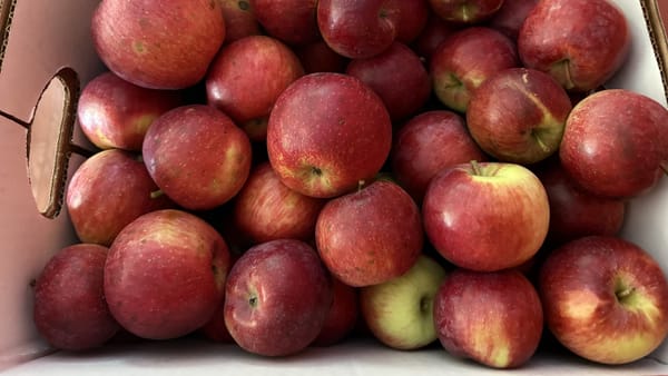 January 2026, PEA Pod Potluck